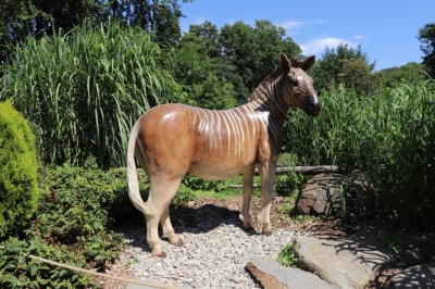 Model zebry kvagy u výběhu zeber v Zoo Ostrava