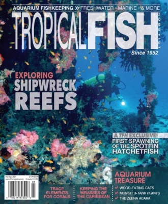 TROPIC FISH HOBBYIST magazine