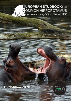 Europejska księga rodowodowa hipopotamów
