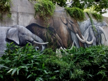 malowidło naścienne  - wymarłe trąbowce i słoń indyjski
