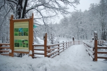 Cesta lesa je přístupná i v zimním období