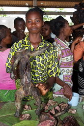 Bushmeat trh, Demokratická republika Kongo. Foto Renaud Fulconis