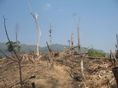 Foto: WCS Hukaung Myanmar Programme