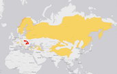 Mapa výskytu rysa ostrovida, červeně rys karpatský, zdroj: www.iucnredlist.org